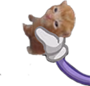 RobertPass emote