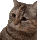 pls emoji