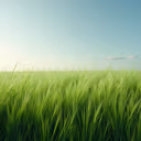 grass_field emote