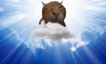 BUH emote
