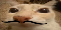otagio emote