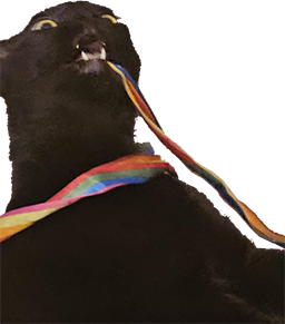 jetblack static emote