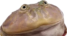 JABA emote