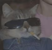 cat emote