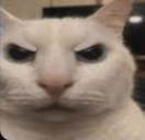 ElCuandoNoAy emote
