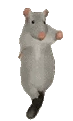 RatJoy emoji