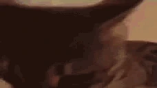 panic emote