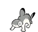 SharkKitty_Spike_Run emote
