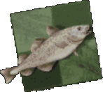 Stockfish_emote_chess static emote