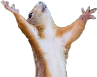 dramaticSquirrel emote