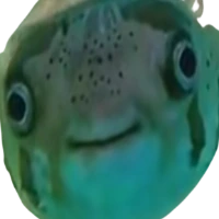 Weird_fish emote