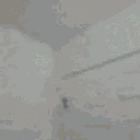 MyReactionToThatInformation emote