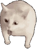 cat_trowup_full emote