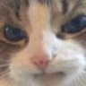 CE_MAD emote