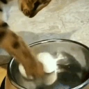balls emote