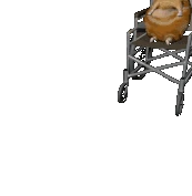 cat_in_a_wheel_chair emoji