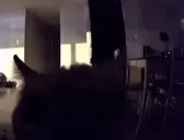 Flashbang emote