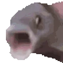 OOOOthenMMMMleave emote