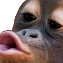 monkeKiss emoji