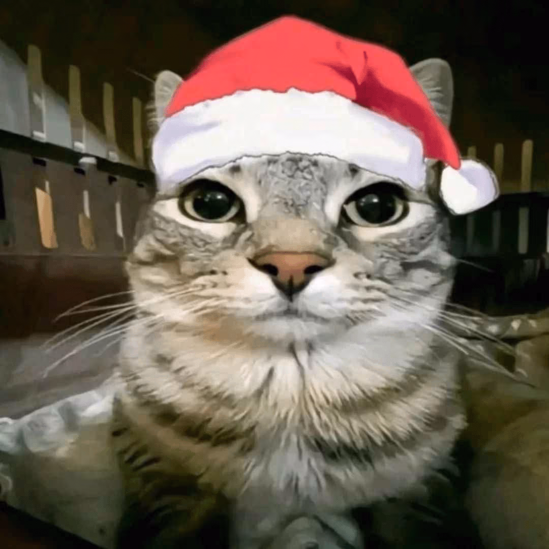 zazumerricristmas emote