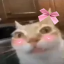 CuteErm static emote