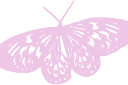 butterfly emote