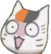 surprised_nyanko emote