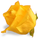 flower_yellow_rose emote