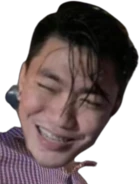 fireworks emote