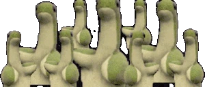 NessieParty emote