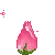 RoseBloom emote