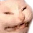 AngeryCat emote