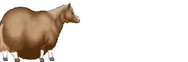 HORSERACE emote