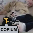 copeg emote