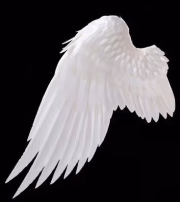wingL emote