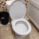 Toilet emote