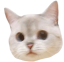 Nana_huh emote