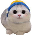 333 emote