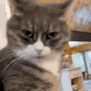 sus emote