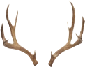 Deerantlers emoji