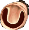 UMEGALUL emote