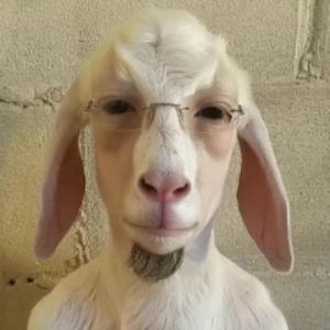 typhu25 avatar
