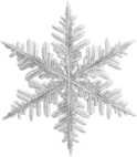 white_snowflake emote