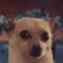 omegaawksplosion animated emote