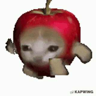 Applecat