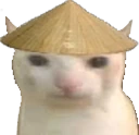 ChinaCat emote