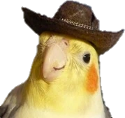 Caraipsita emote