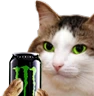 kiisu_monster emote