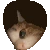 KittyPeak emote