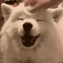 goodDoge emoji
